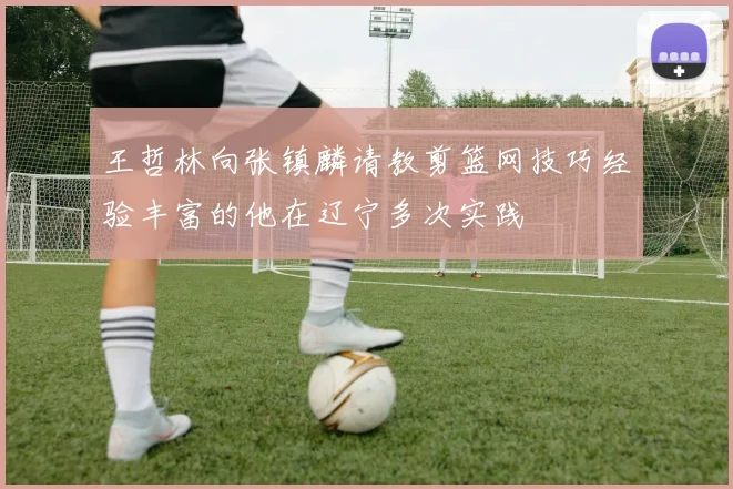王哲林向张镇麟请教剪篮网技巧经验丰富的他在辽宁多次实践